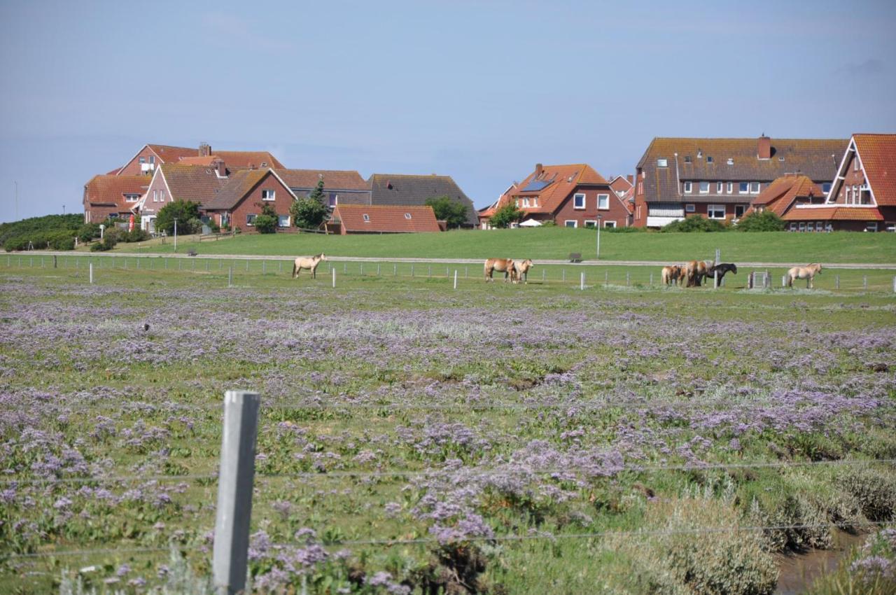 Seevilla Wietjes Whg 6 Baltrum Eksteriør bilde